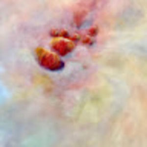 Meet your Posher, Soo